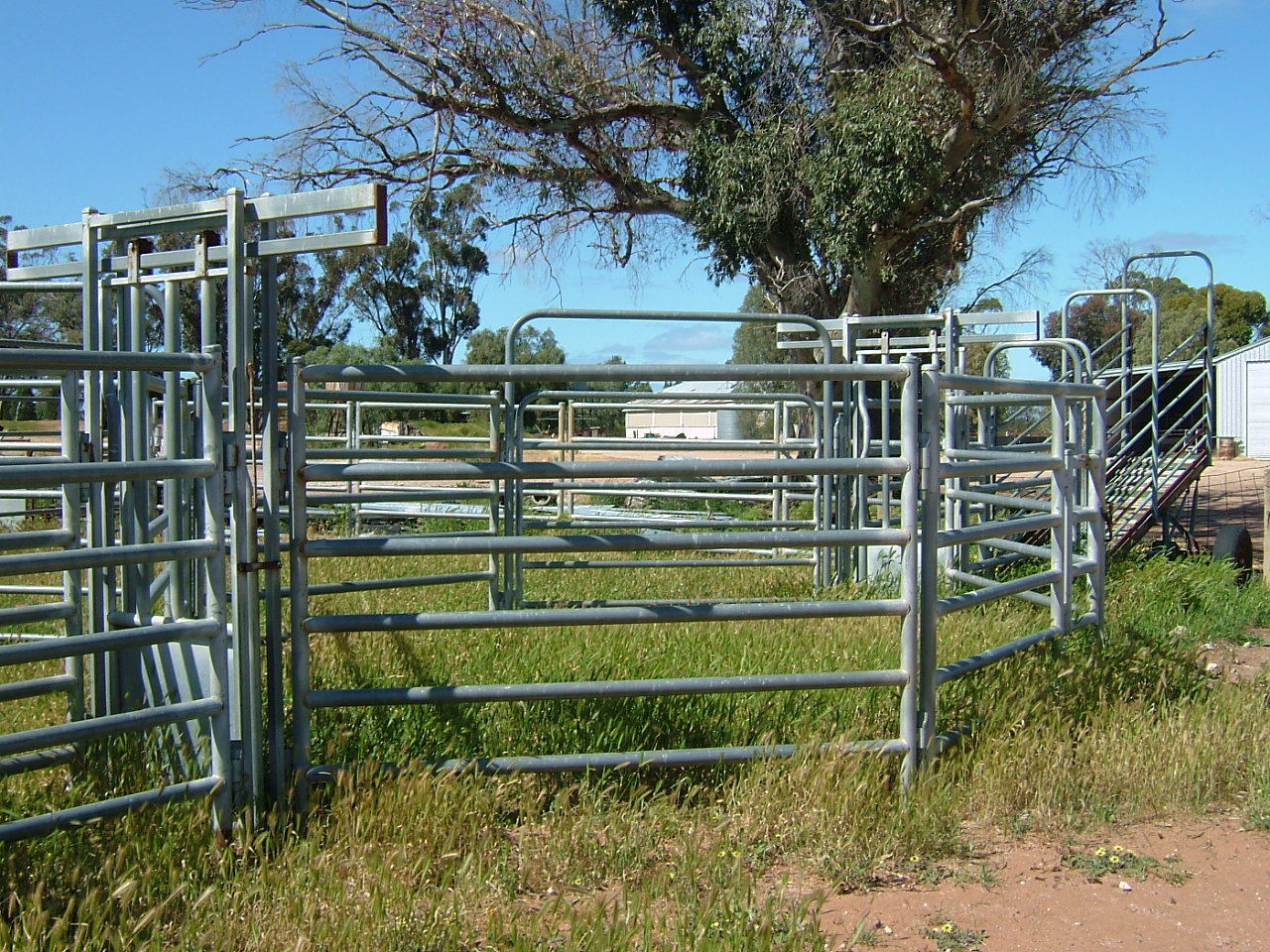 Cattle Yards (portable) and Cattlemans Crush Livestock Equipment